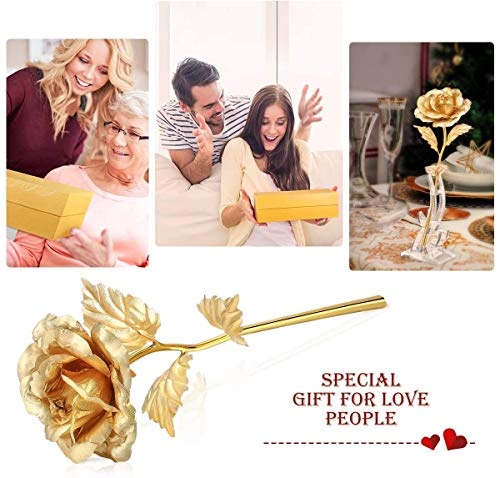 ETEREAUTY 24K Gold Rose