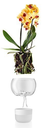 Eva Solo Orchideentopf selbstbewässernd aus frosted Glas D 15 cm