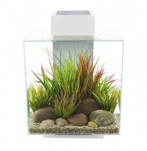 Fluval Nanoaquarium Edge