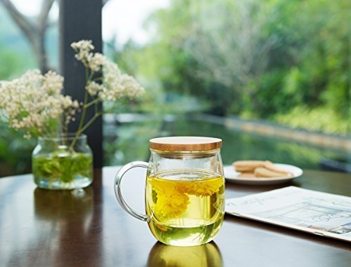 Friedos Tee Glas mit Sieb und Deckel 500 ml für Losen Tee oder Beutel - Tasse aus Borosilikat Glas 