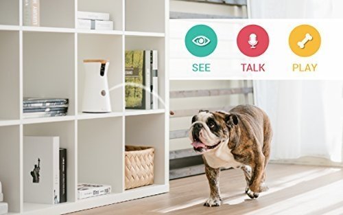Furbo Hundekamera : Leckerli-Ausgabe, HD-WiFi-Hundekamera und 2-Wege-Audio