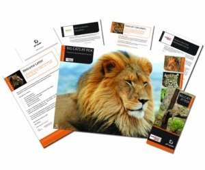 Gift Republic Personalise it: Adopt a Big Cat Gift Box