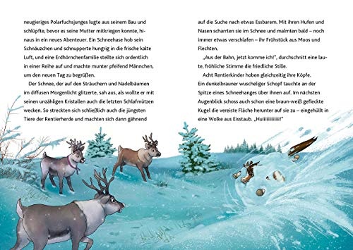 Glöckchen, das Weihnachtspony - Das Wunder vom Nordpol
