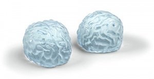 HENGSONG Gehirn Silikonform Eiswürfel Form Schokoladenform Pralinenform Pudding Basteln Verzieren H