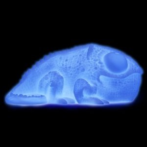 Huey, die Chamäleon-Lampe!