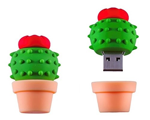 Kaktus Topf USB Drive