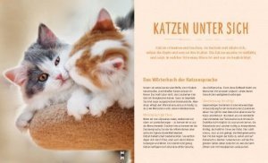 Katzensprache: Kätzisch für Zweibeiner