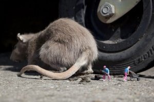 Kleine Leute in der großen Stadt