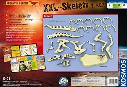 Kosmos XXL-Skelett T-Rex