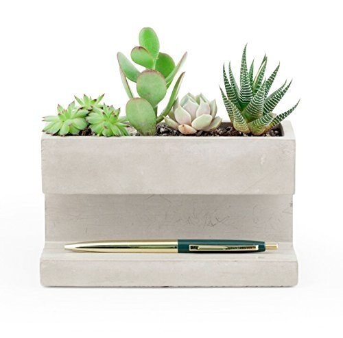 Large Concrete Desktop Planter