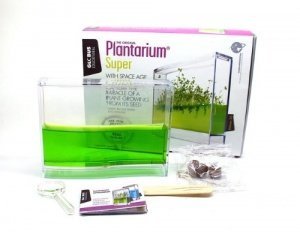 Mini Gewächshaus ´Super Plantarium´