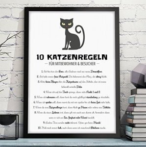 OWLBOOK "10 KATZENREGELN - HAUSORDNUNG" hochwertiger Kunstdruck mit Katze - lustiges Bild mit Spruch