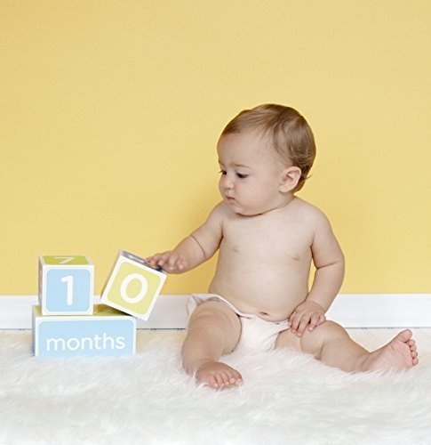 Pearhead Baby Age Photo Blocks