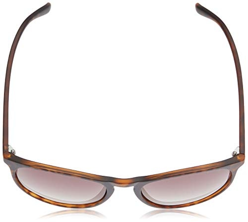 Polaroid Sonnenbrille PLD6003NS