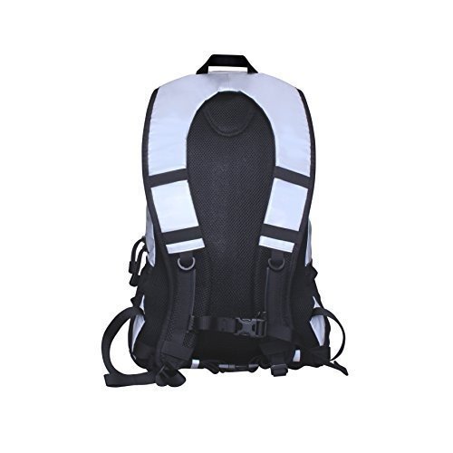 Proviz Rucksack Reflect 360, silber-grau, 0.1 x 34 x 54 cm, 30 Liter, PV595