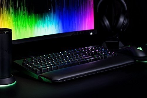 Razer Blackwidow Chroma V2 Taktile & Klickende Mechanische Gaming Tastatur (Razer Green Switches, RG