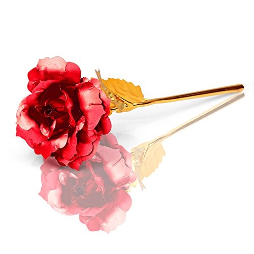 Rose 24K Gold