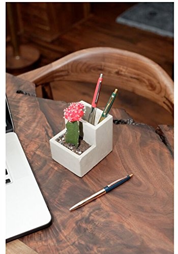 Small Concrete Desktop Planter