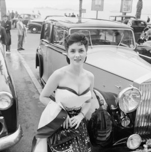 Stars and Cars of the 50s