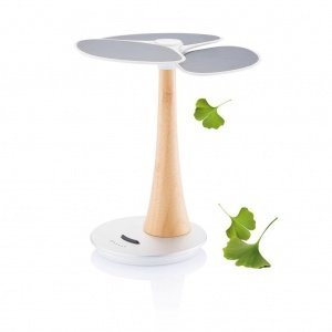 XD Design Ginkgo Solarbaum