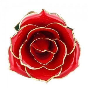 Echte vergoldete Rose