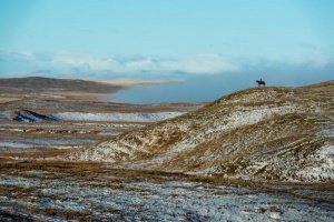 Amerikas Cowboys: Von den Prärien Nordamerikas bis in das Hochland der Anden