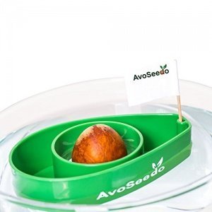 avoseedo Grow Your Own Avocado Baum