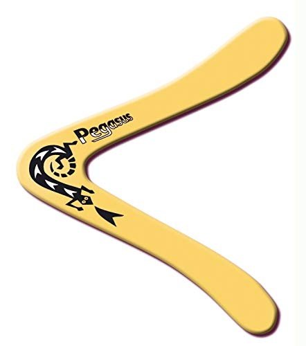 Boomerang Pegasus