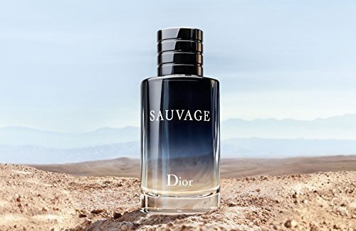 Christian Dior Eau de Toilette Herren Sauvage 100 ml