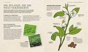 Das Teebuch: Sorten, Anbaugebiete, Rituale und Rezepte aus aller Welt