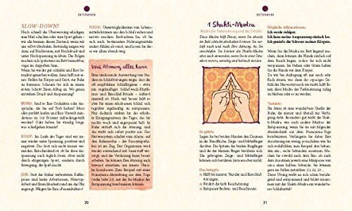 Die Mudrabox: Mit Finger-Yoga entspannen, Kraft spüren und gesund werden (GU Buch plus Körper, Gei