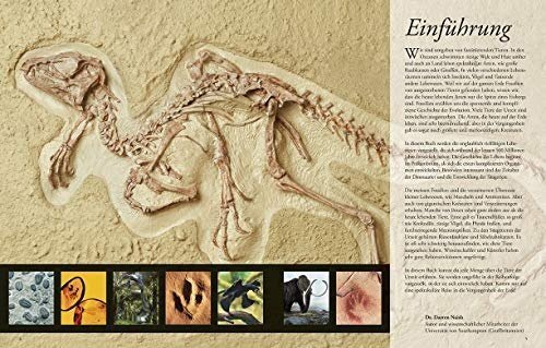 Dinosaurier und andere Tiere der Urzeit für clevere Kids: Lexikon mit über 1500 farbigen Abbildung