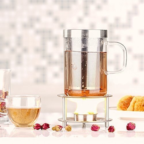 Ecooe Glas Tasse mit Metallsieb Teeglas Teebecher aus Borosilikat Teetasse 500ml (Volle Kapazität)