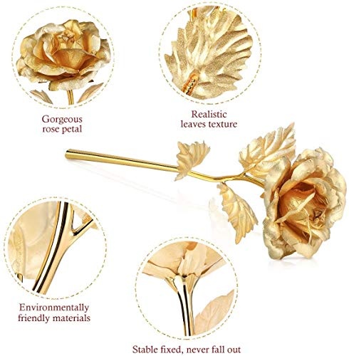 ETEREAUTY 24K Gold Rose