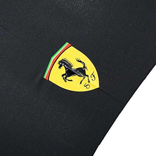 Ferrari Stockschirm