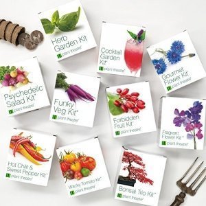 Gourmetblumen-Kit von Plant Theatre - 6 Essbare Blumenarten