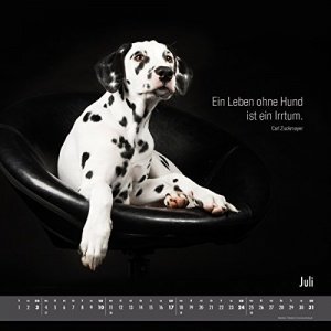 Hundeleben Bildkalender