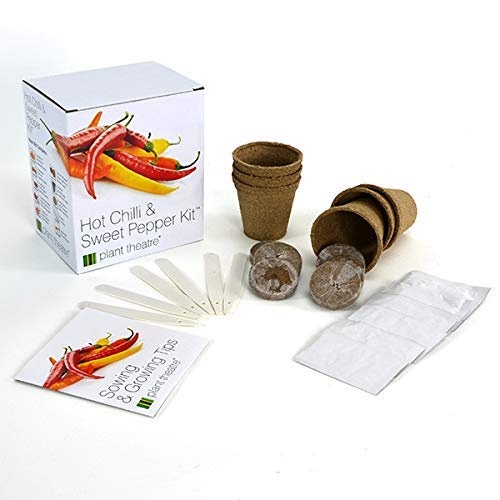 Kit Chili Paprika von Plant Theatre