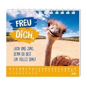 Kleiner Happy-Macher für dich! Mini-Kalender