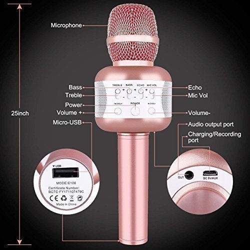 Leeron Bluetooth Karaoke Mikrofon mit Disco-Lichtern