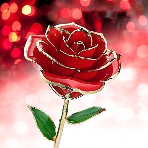 Magicpeony 24k Gold Rose Echte Konservierte Rose mit Echtem Grünen Blatt - mit Geschenkbox für Fra