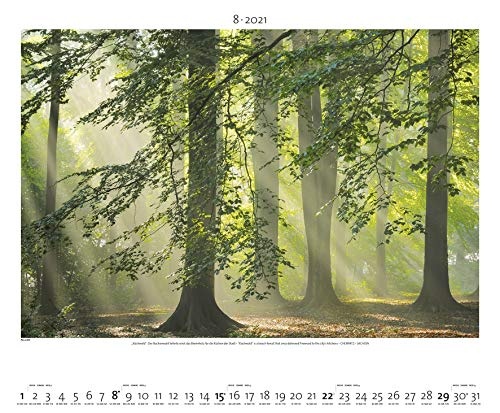 Naturland Deutschland 2021 Bild-Kalender