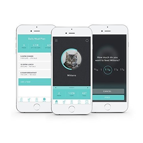 Petnet SmartFeeder - Automatic Pet Feeding with your iPhone by Petnet