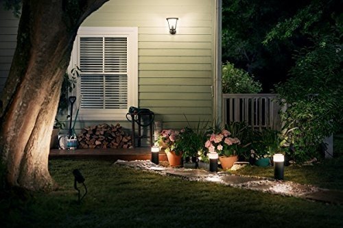 Philips Hue Calla Basis-Set