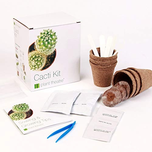 Plant Theatre Kakteen Kit