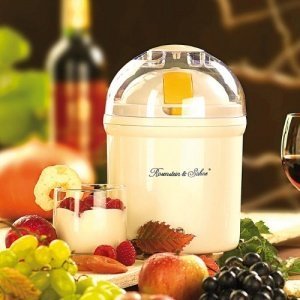 Rosenstein & Söhne Joghurt-Maker für 1 Liter frischen Joghurt