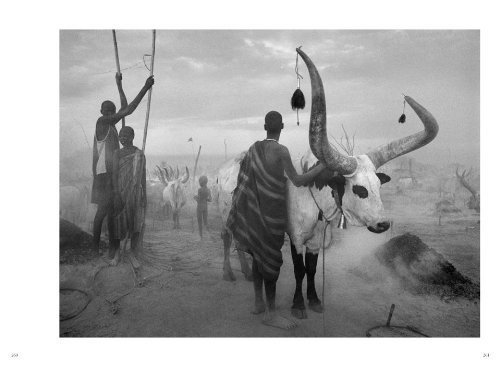 Sebastião Salgado. GENESIS