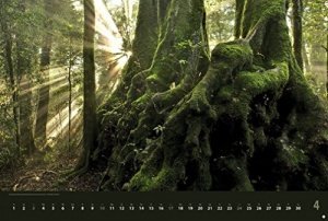 Spirit of Nature Kalender