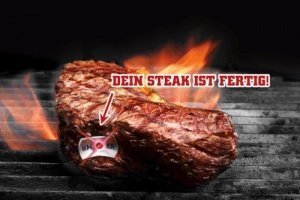 SteakChamp Single Pack Medium