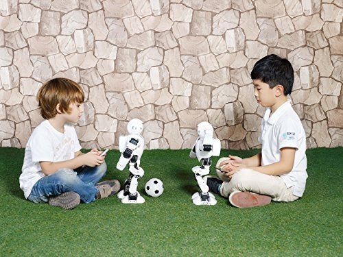 UBTech Alpha1 Pro - Programmierbarer App gesteuerter Roboter zum lernen und spielen